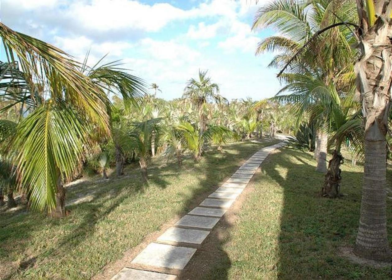Rocks Retreat By Eleuthera Vacation Rentals North Palmetto Point Bagian luar foto